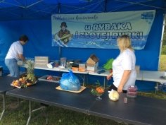foto_003