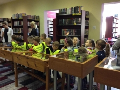 motylki_w_bibliotece_003